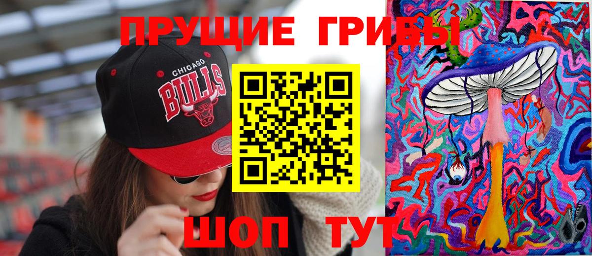 Зерноград  Псилоцибиновые грибы Cubensis  Вход с VPN  Псилоцибиновые грибы Psilocybine cubensis 