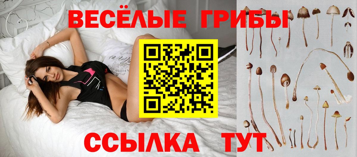 Галлюциногенные грибы прущие грибы Зерноград